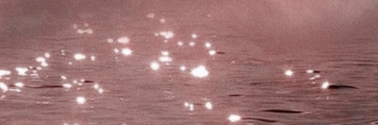 SaraDayfield's profile banner image