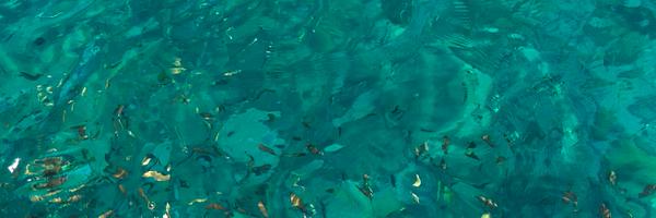 ChangScuba Profile Banner