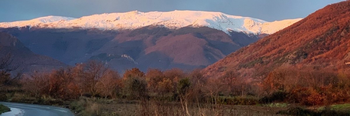 Ilias Iakovidis banner