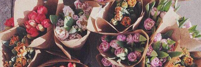 Fatma_AL3li's profile banner image