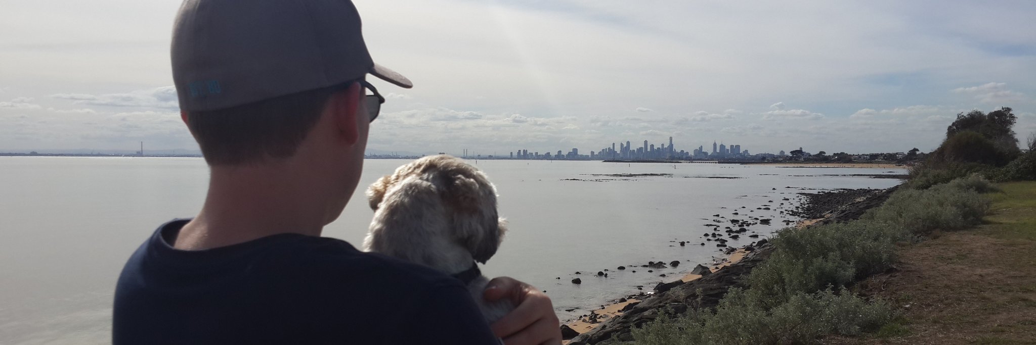 Lifelong Learner banner