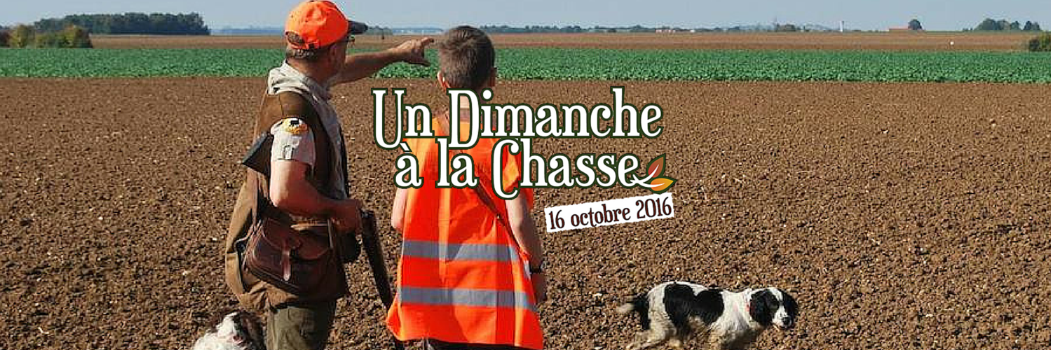 DimancheChasse's profile banner image