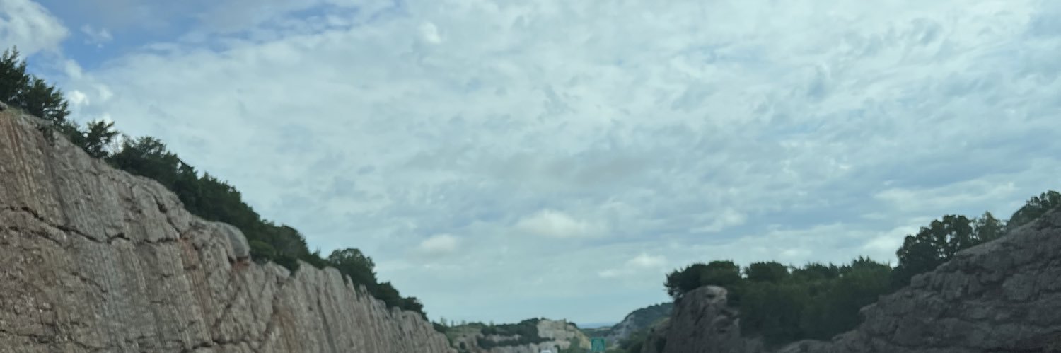 leeah_rosee's profile banner image