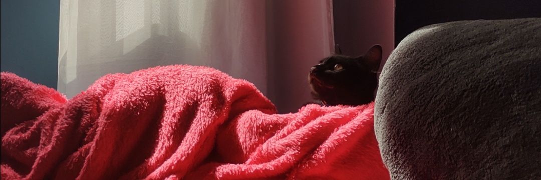 _loeww's profile banner image