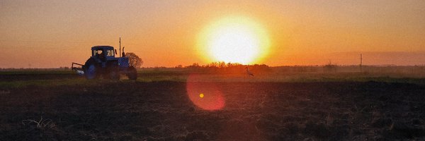 swarthy_dove Profile Banner
