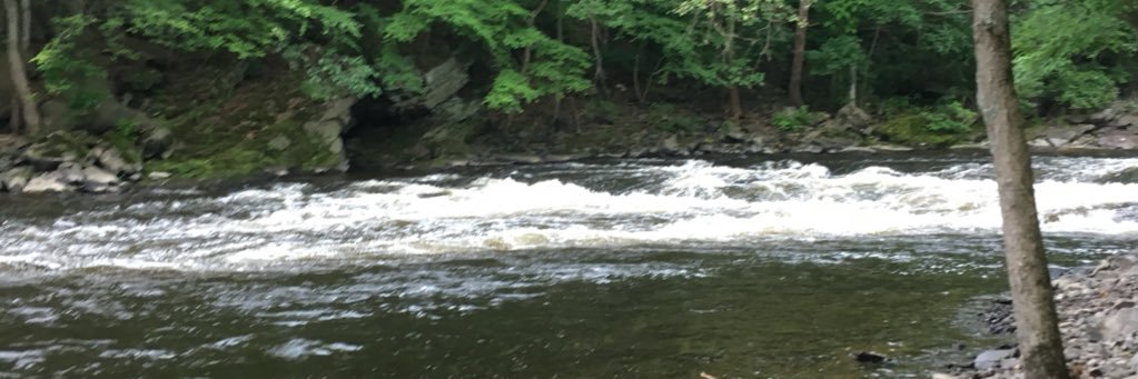 Cameron Atkinson banner