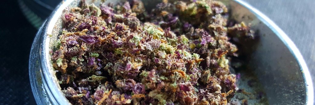TheChillBud's profile banner image