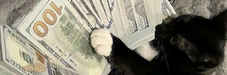 anasvint's profile banner image