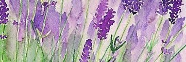 islas_sandra's profile banner image