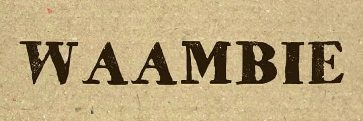 SirHamimu's profile banner image