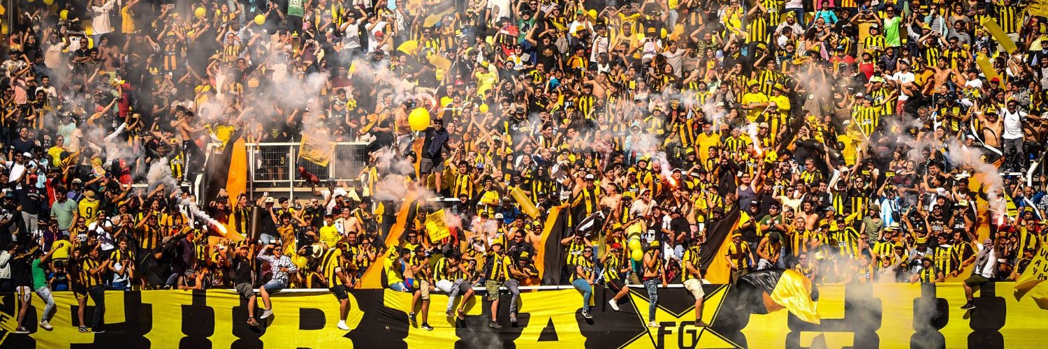 Fernández Vial banner