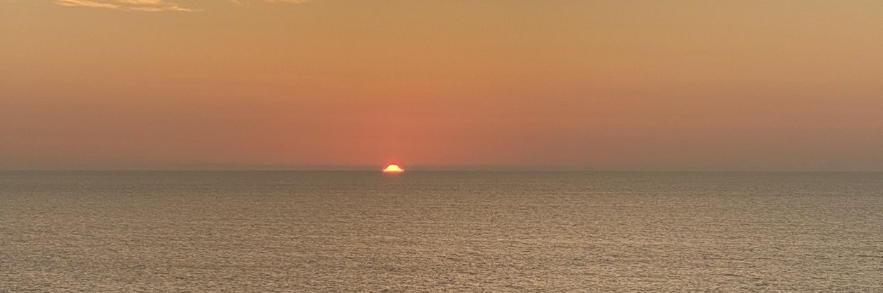 Diane Wheeler banner