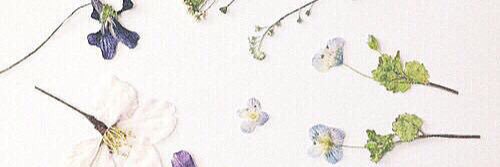 Y_F__ckk_'s profile banner image