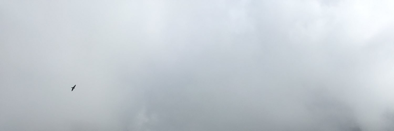 ll_fxd's profile banner image