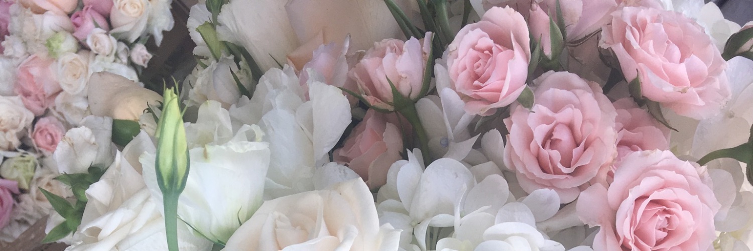 Sirenaamorenaa's profile banner image