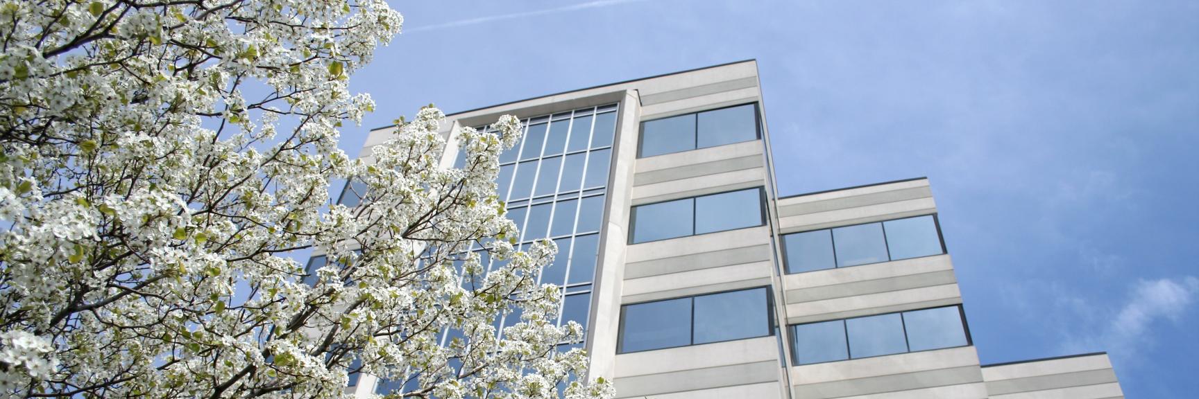Kankakee Public Library banner