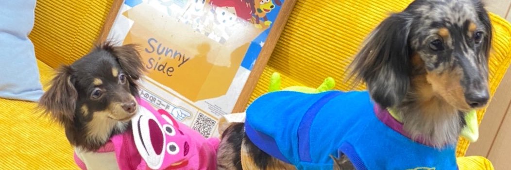 tepe_0215's profile banner image