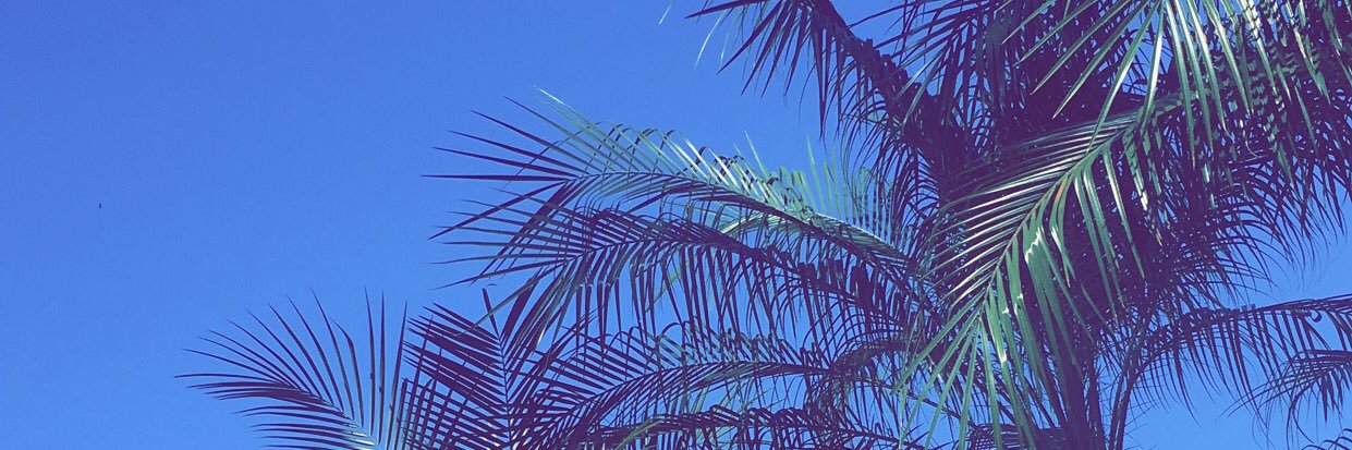 drcalii's profile banner image