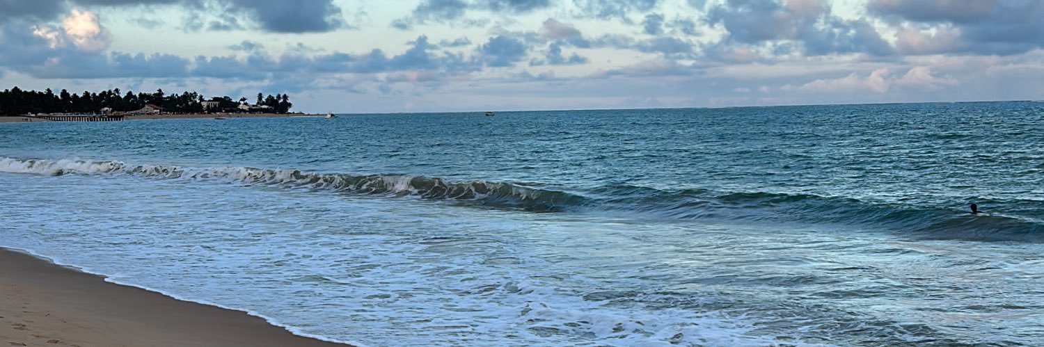 sulaaneves's profile banner image
