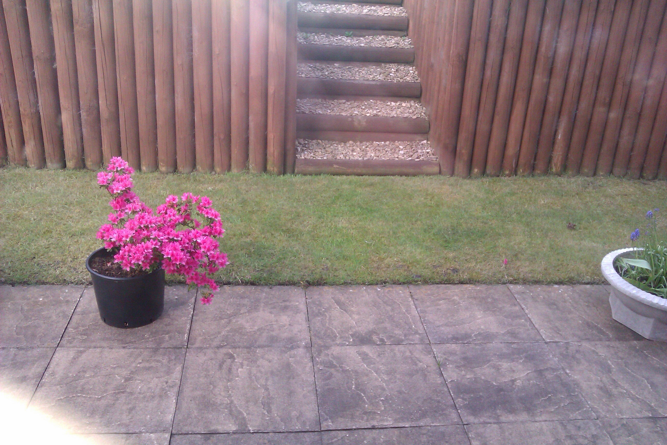 Menna Flavell banner