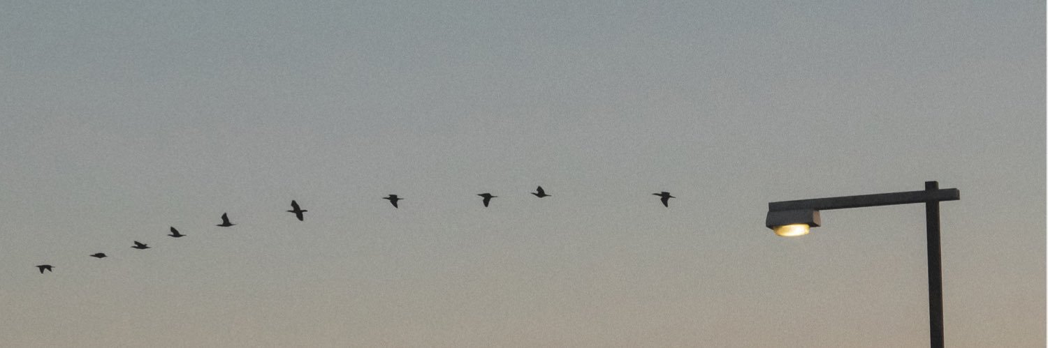 Sakamoto（ATOSAKA） banner