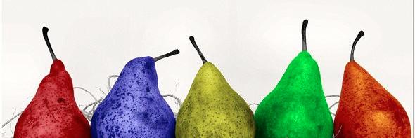 mondoBioDiverso's profile banner image