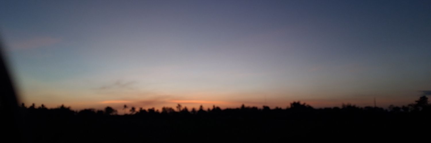SusmitaRamos's profile banner image