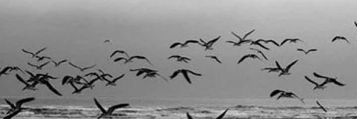 s_samt141's profile banner image