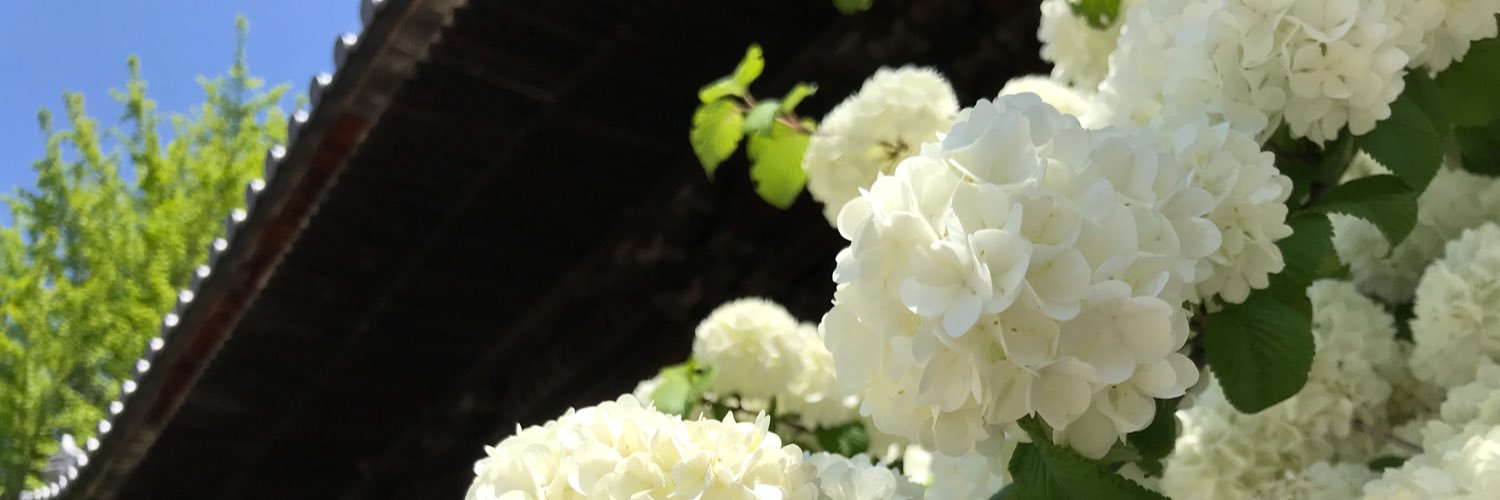 kan_morimi's profile banner image