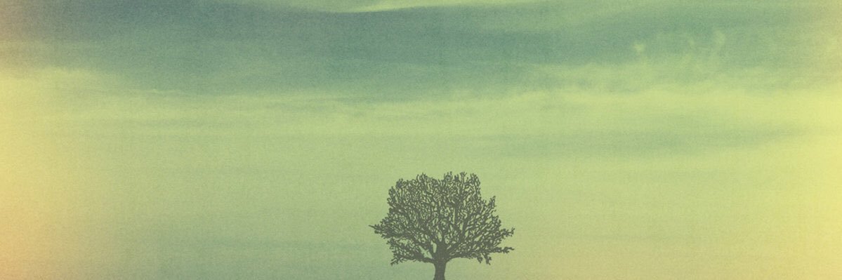 thrashingmad96's profile banner image