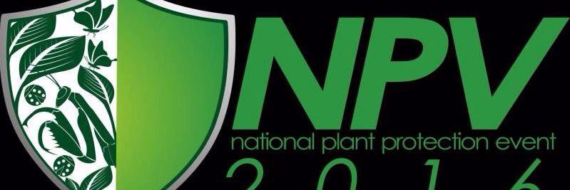 NPV IPB banner