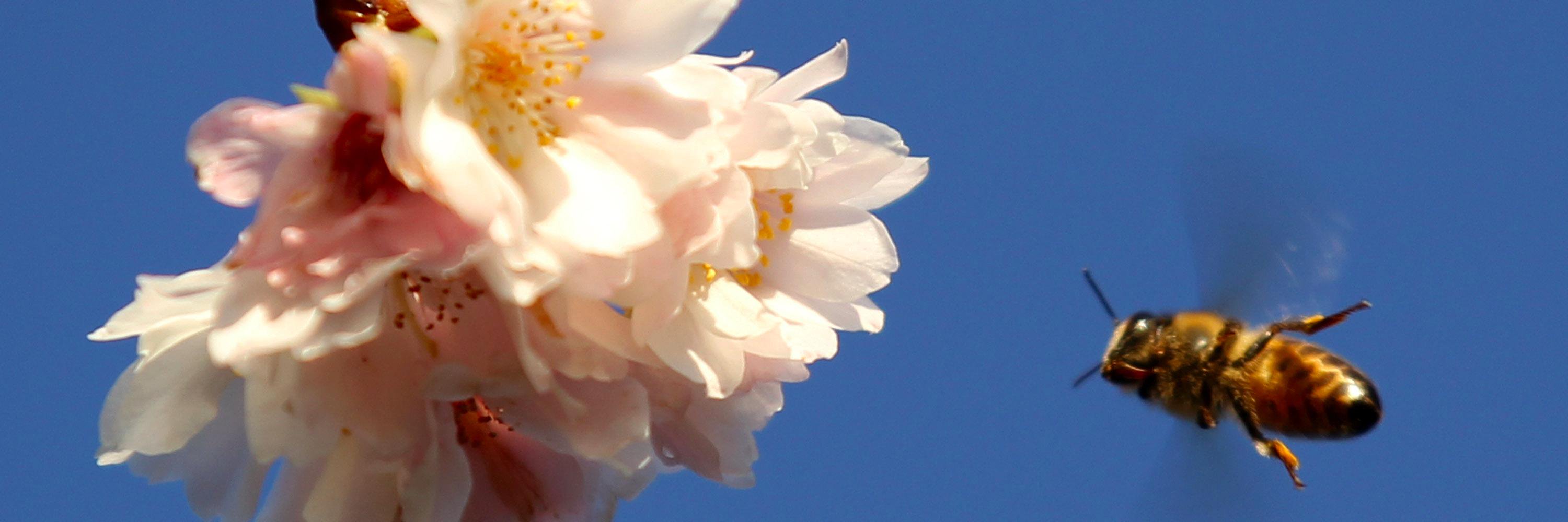 SlantNews's profile banner image