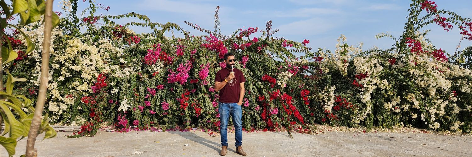 singhmeansit's profile banner image