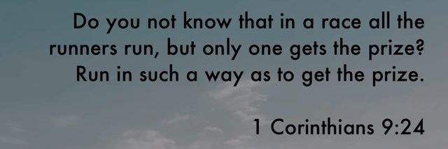 TraceyHanson1's profile banner image