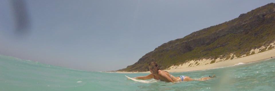 Megan Phippen banner