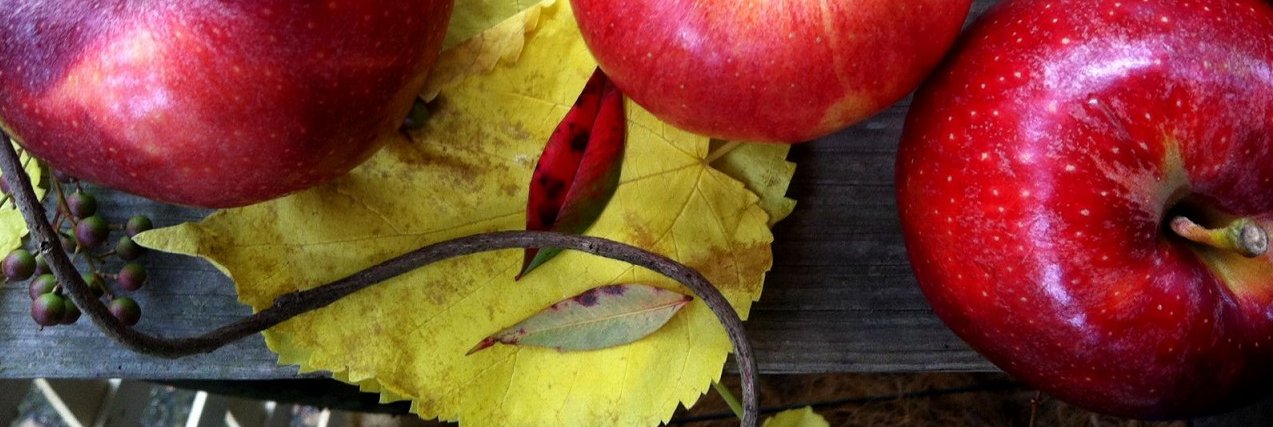 agri_artisans's profile banner image