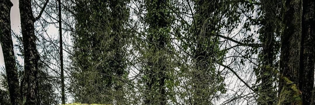 m_nma9's profile banner image