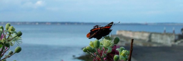 crossmedienne Profile Banner