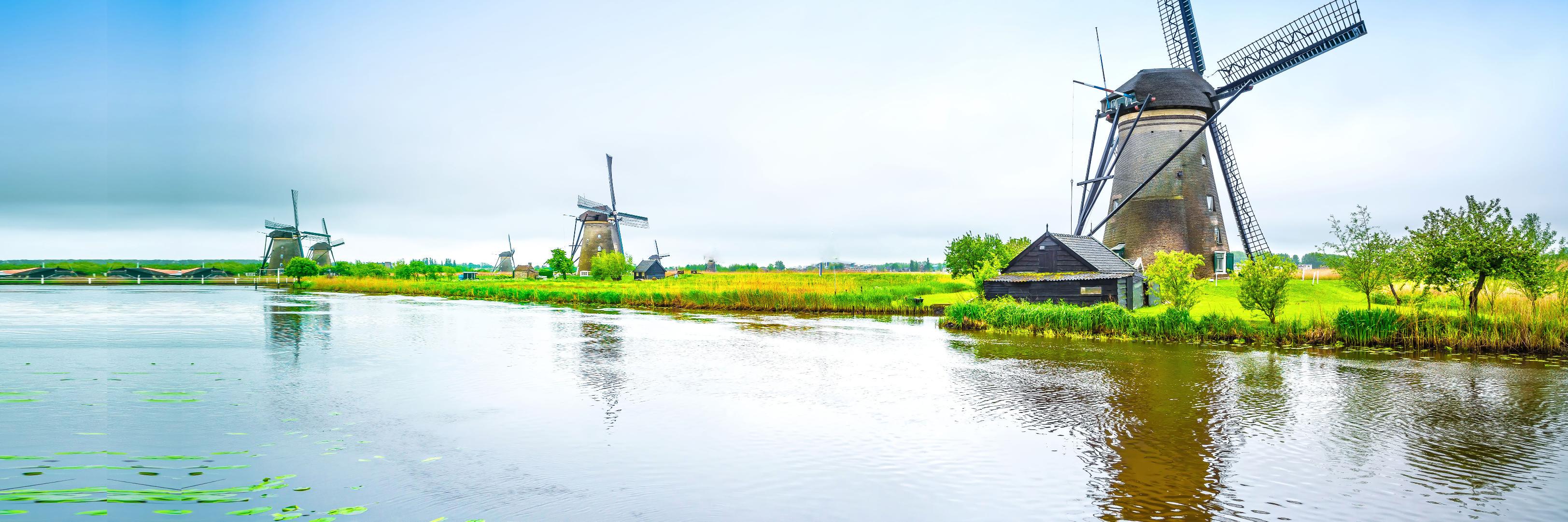 TheDailyMilk_NL's profile banner image