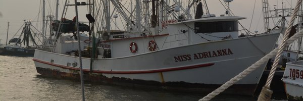 PhillyShrimp Profile Banner