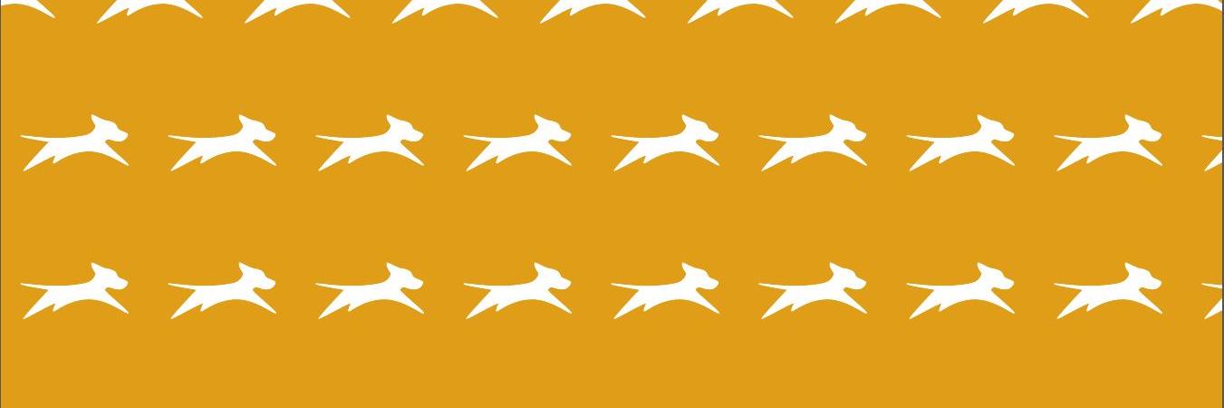tailrunners's profile banner image
