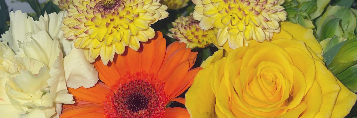 libhatch's profile banner image