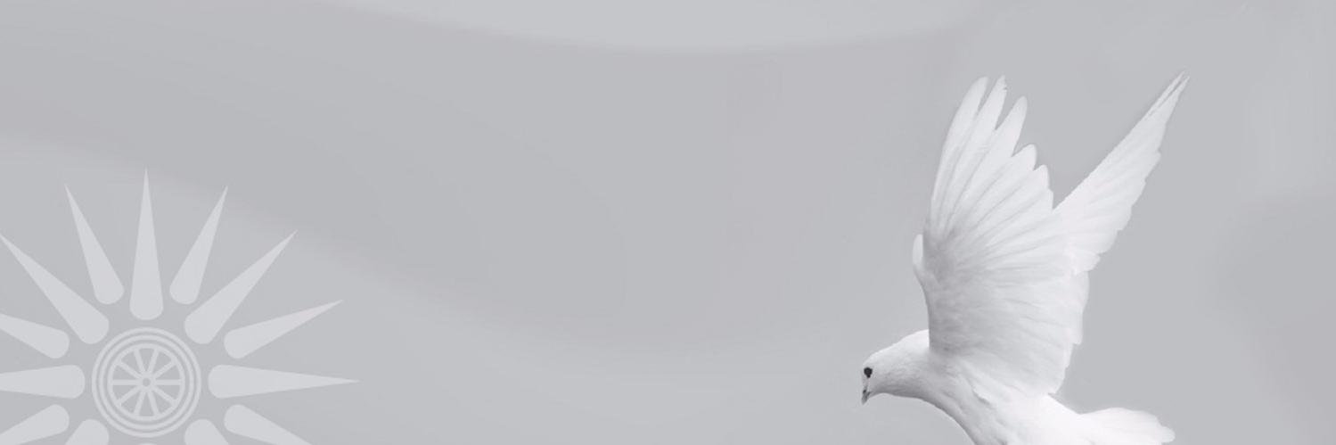 Makedonska Alijansa banner