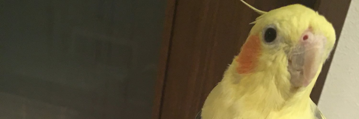 Yukko_runatan's profile banner image