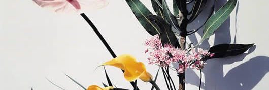 quitusingmyname's profile banner image