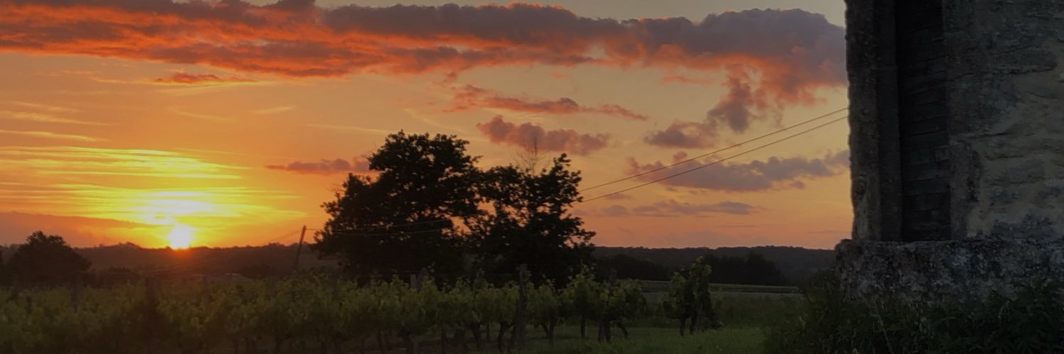 Lindsay Pamphilon 🇺🇦 banner