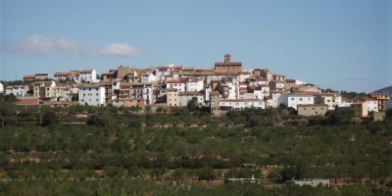 David Vicente banner