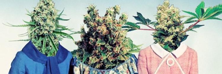 420THCQueen's profile banner image