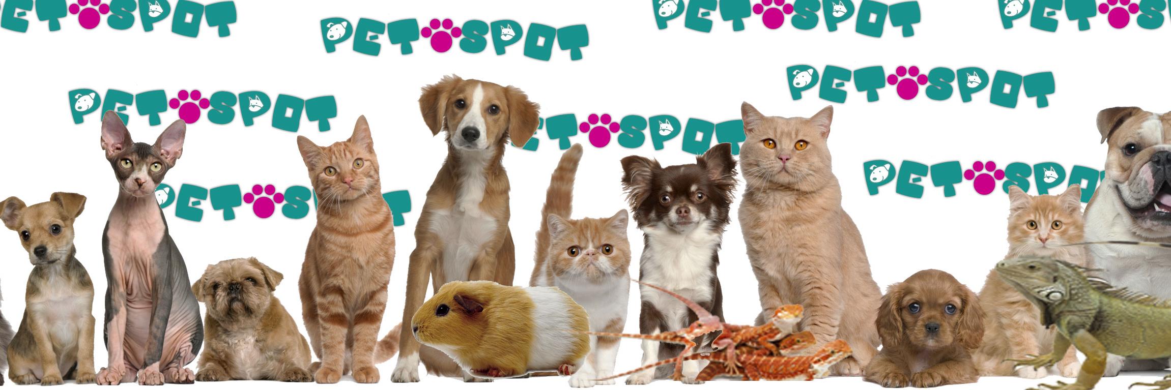 UK pet classifieds banner