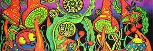 bur0420's profile banner image